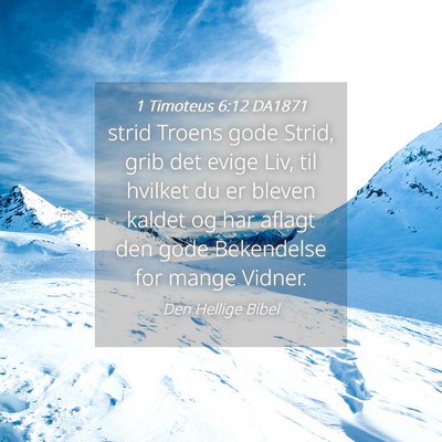 Picture 04 - 1 Timoteus 6:12 DA1871 - strid Troens gode Strid, grib det evige Liv, til - Bible Verse Picture