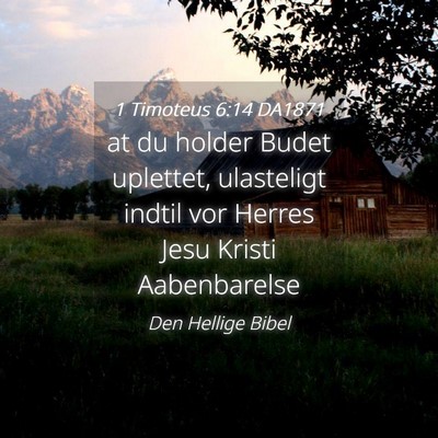 Picture 04 - 1 Timoteus 6:14 DA1871 - at du holder Budet uplettet, ulasteligt indtil - Bible Verse Picture
