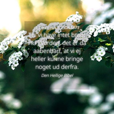 Picture 04 - 1 Timoteus 6:7 DA1871 - Thi vi have intet bragt ind i Verden, det er da - Bible Verse Picture