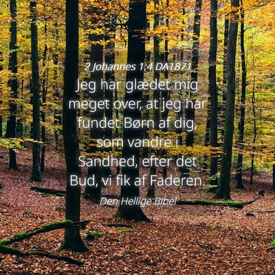 Picture 04 - 2 Johannes 1:4 DA1871 - Jeg har glædet mig meget over, at jeg har fundet - Bible Verse Picture