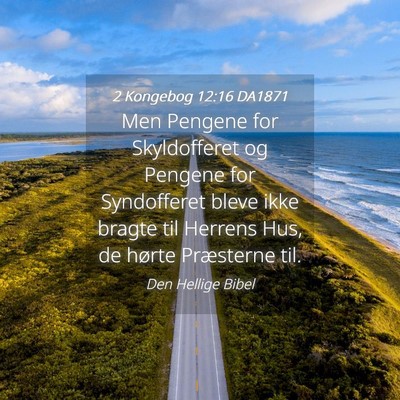 Picture 04 - 2 Kongebog 12:16 DA1871 - Men Pengene for Skyldofferet og Pengene for - Bible Verse Picture