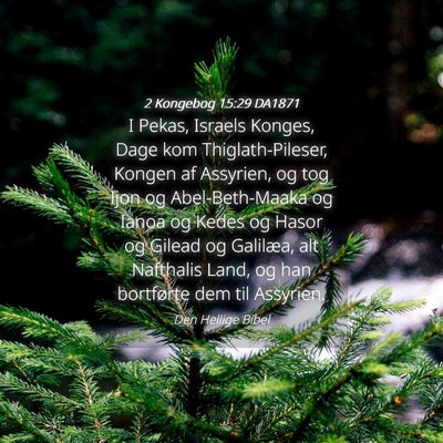 Picture 04 - 2 Kongebog 15:29 DA1871 - I Pekas, Israels Konges, Dage kom - Bible Verse Picture