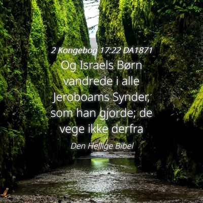 Picture 04 - 2 Kongebog 17:22 DA1871 - Og Israels Børn vandrede i alle Jeroboams - Bible Verse Picture