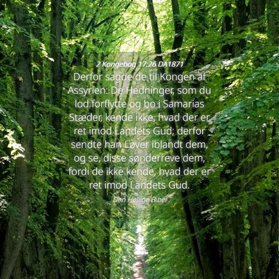 Picture 04 - 2 Kongebog 17:26 DA1871 - Derfor sagde de til Kongen af Assyrien: De - Bible Verse Picture