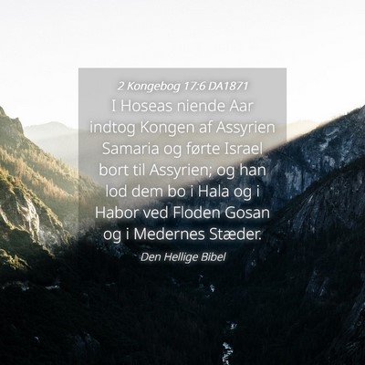 Picture 04 - 2 Kongebog 17:6 DA1871 - I Hoseas niende Aar indtog Kongen af Assyrien - Bible Verse Picture
