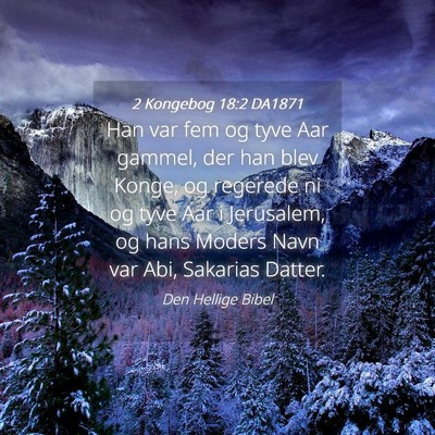Picture 04 - 2 Kongebog 18:2 DA1871 - Han var fem og tyve Aar gammel, der han blev - Bible Verse Picture