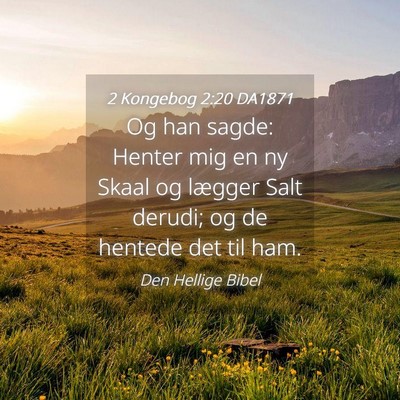 Picture 04 - 2 Kongebog 2:20 DA1871 - Og han sagde: Henter mig en ny Skaal og lægger - Bible Verse Picture