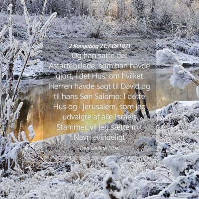 Picture 04 - 2 Kongebog 21:7 DA1871 - Og han satte det Astartebillede, som han havde - Bible Verse Picture