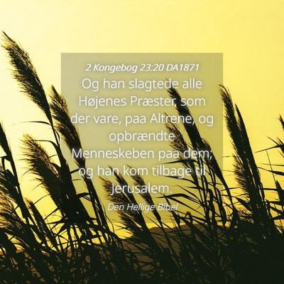 Picture 04 - 2 Kongebog 23:20 DA1871 - Og han slagtede alle Højenes Præster, som der - Bible Verse Picture
