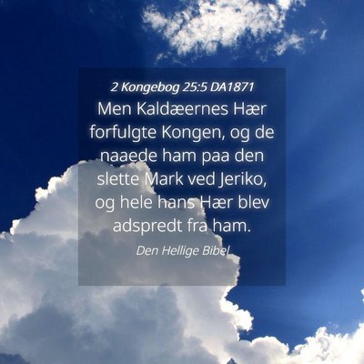 Picture 04 - 2 Kongebog 25:5 DA1871 - Men Kaldæernes Hær forfulgte Kongen, og de - Bible Verse Picture