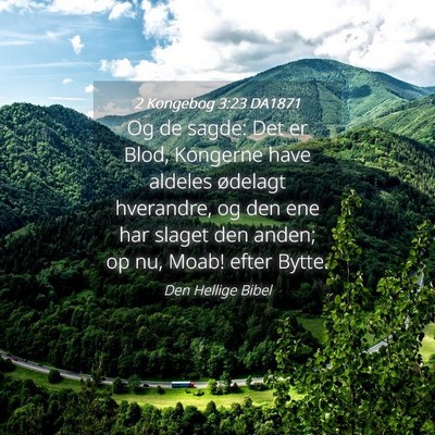 Picture 04 - 2 Kongebog 3:23 DA1871 - Og de sagde: Det er Blod, Kongerne have aldeles - Bible Verse Picture