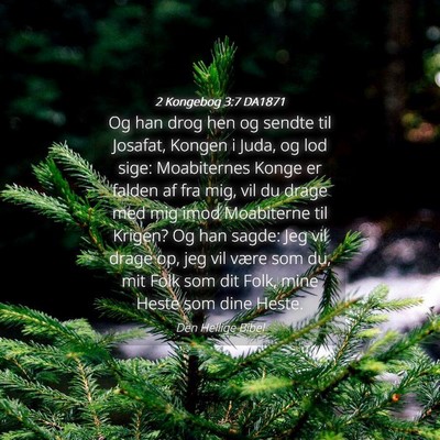 Picture 04 - 2 Kongebog 3:7 DA1871 - Og han drog hen og sendte til Josafat, Kongen i - Bible Verse Picture