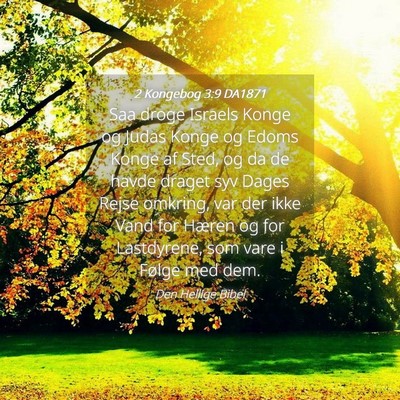Picture 04 - 2 Kongebog 3:9 DA1871 - Saa droge Israels Konge og Judas Konge og Edoms - Bible Verse Picture