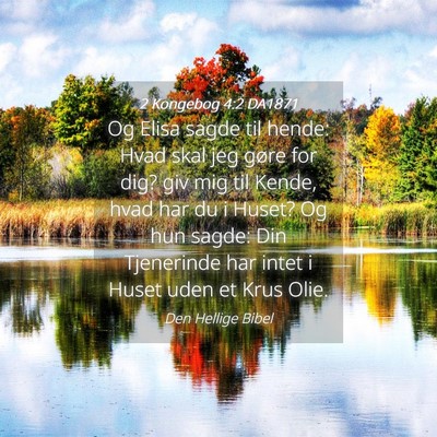 Picture 04 - 2 Kongebog 4:2 DA1871 - Og Elisa sagde til hende: Hvad skal jeg gøre for - Bible Verse Picture