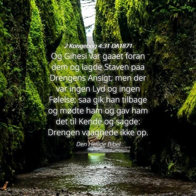 Picture 04 - 2 Kongebog 4:31 DA1871 - Og Gihesi var gaaet foran dem og lagde Staven paa - Bible Verse Picture