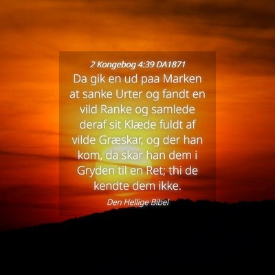 Picture 04 - 2 Kongebog 4:39 DA1871 - Da gik en ud paa Marken at sanke Urter og fandt - Bible Verse Picture
