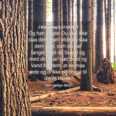 Picture 04 - 2 Kongebog 6:22 DA1871 - Og han sagde: Du skal ikke slaa dem ihjel! vilde - Bible Verse Picture
