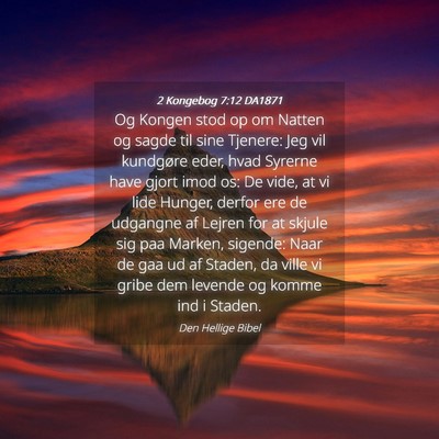 Picture 04 - 2 Kongebog 7:12 DA1871 - Og Kongen stod op om Natten og sagde til sine - Bible Verse Picture