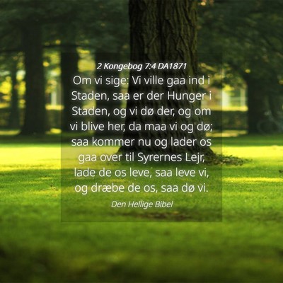 Picture 04 - 2 Kongebog 7:4 DA1871 - Om vi sige: Vi ville gaa ind i Staden, saa er der - Bible Verse Picture