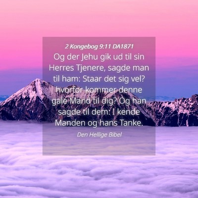Picture 04 - 2 Kongebog 9:11 DA1871 - Og der Jehu gik ud til sin Herres Tjenere, sagde - Bible Verse Picture