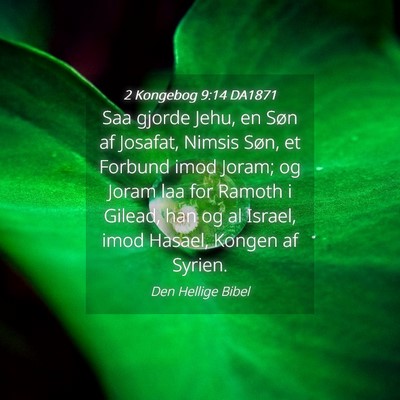 Picture 04 - 2 Kongebog 9:14 DA1871 - Saa gjorde Jehu, en Søn af Josafat, Nimsis Søn, - Bible Verse Picture