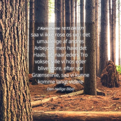 Picture 04 - 2 Korintherne 10:15 DA1871 - saa vi ikke rose os ud i det umaalelige af andres - Bible Verse Picture