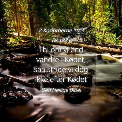 Picture 04 - 2 Korintherne 10:3 DA1871 - Thi om vi end vandre i Kødet, saa stride vi dog - Bible Verse Picture