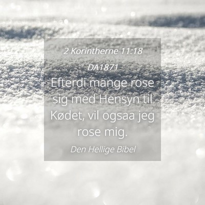 Picture 04 - 2 Korintherne 11:18 DA1871 - Efterdi mange rose sig med Hensyn til Kødet, vil - Bible Verse Picture
