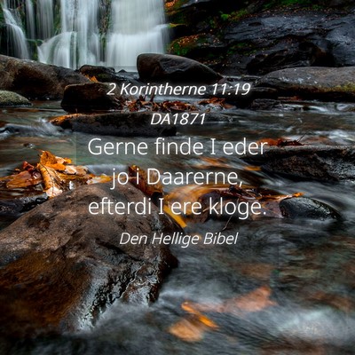 Picture 04 - 2 Korintherne 11:19 DA1871 - Gerne finde I eder jo i Daarerne, efterdi I ere - Bible Verse Picture