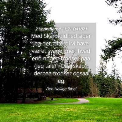 Picture 04 - 2 Korintherne 11:21 DA1871 - Med Skamfuldhed siger jeg det, efterdi vi have - Bible Verse Picture