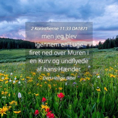 Picture 04 - 2 Korintherne 11:33 DA1871 - men jeg blev igennem en Luge firet ned over Muren - Bible Verse Picture