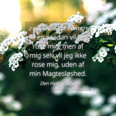 Picture 04 - 2 Korintherne 12:5 DA1871 - Af en saadan vil jeg rose mig; men af mig selv - Bible Verse Picture