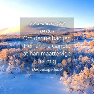 Picture 04 - 2 Korintherne 12:8 DA1871 - Om denne bad jeg Herren tre Gange, at han maatte - Bible Verse Picture