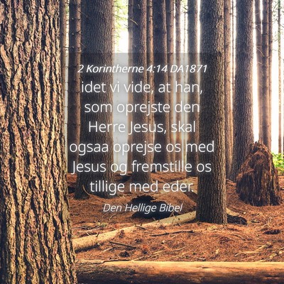 Picture 04 - 2 Korintherne 4:14 DA1871 - idet vi vide, at han, som oprejste den Herre - Bible Verse Picture