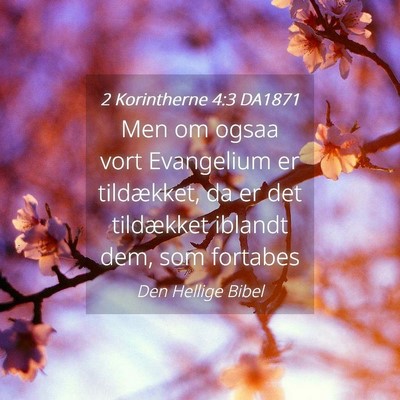 Picture 04 - 2 Korintherne 4:3 DA1871 - Men om ogsaa vort Evangelium er tildækket, da er - Bible Verse Picture