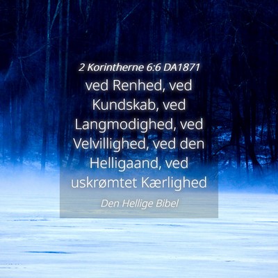 Picture 04 - 2 Korintherne 6:6 DA1871 - ved Renhed, ved Kundskab, ved Langmodighed, ved - Bible Verse Picture