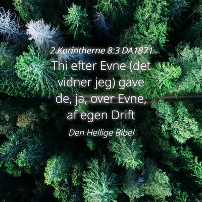Picture 04 - 2 Korintherne 8:3 DA1871 - Thi efter Evne (det vidner jeg) gave de, ja, over - Bible Verse Picture