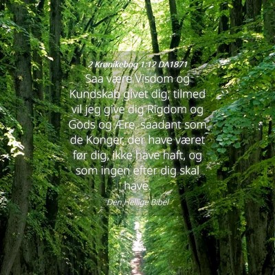 Picture 04 - 2 Krønikebog 1:12 DA1871 - Saa være Visdom og Kundskab givet dig; tilmed - Bible Verse Picture