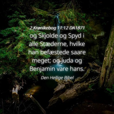 Picture 04 - 2 Krønikebog 11:12 DA1871 - og Skjolde og Spyd i alle Stæderne, hvilke han - Bible Verse Picture
