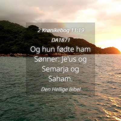Picture 04 - 2 Krønikebog 11:19 DA1871 - Og hun fødte ham Sønner: Je'us og Semarja og - Bible Verse Picture