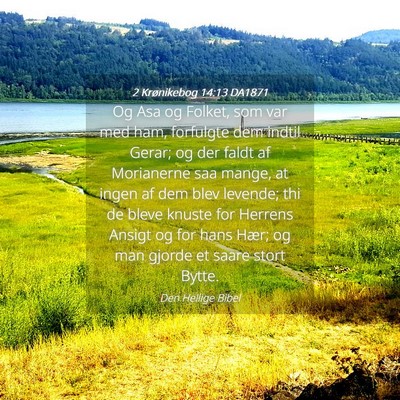 Picture 04 - 2 Krønikebog 14:13 DA1871 - Og Asa og Folket, som var med ham, forfulgte dem - Bible Verse Picture