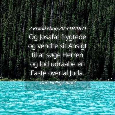 Picture 04 - 2 Krønikebog 20:3 DA1871 - Og Josafat frygtede og vendte sit Ansigt til at - Bible Verse Picture
