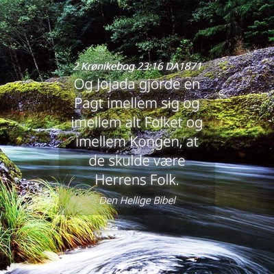 Picture 04 - 2 Krønikebog 23:16 DA1871 - Og Jojada gjorde en Pagt imellem sig og imellem - Bible Verse Picture