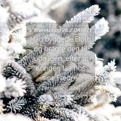 Picture 04 - 2 Krønikebog 26:2 DA1871 - Han byggede Eloth og bragte den til Juda igen, - Bible Verse Picture