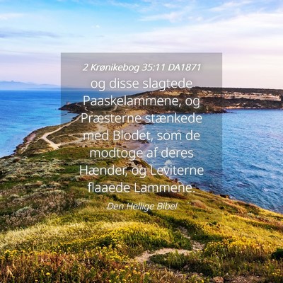 Picture 04 - 2 Krønikebog 35:11 DA1871 - og disse slagtede Paaskelammene, og Præsterne - Bible Verse Picture