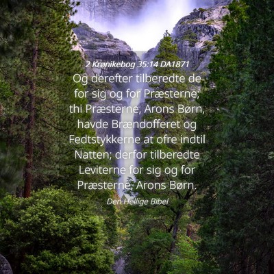 Picture 04 - 2 Krønikebog 35:14 DA1871 - Og derefter tilberedte de for sig og for - Bible Verse Picture