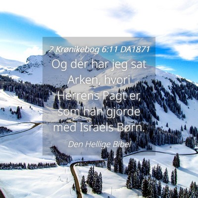 Picture 04 - 2 Krønikebog 6:11 DA1871 - Og der har jeg sat Arken, hvori Herrens Pagt er, - Bible Verse Picture