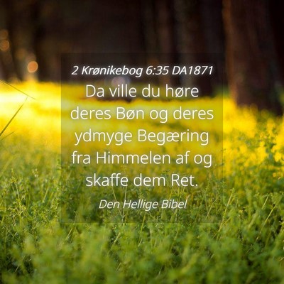 Picture 04 - 2 Krønikebog 6:35 DA1871 - Da ville du høre deres Bøn og deres ydmyge - Bible Verse Picture