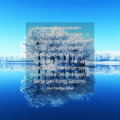 Picture 04 - 2 Krønikebog 9:9 DA1871 - Og hun gav Kongen hundrede og tyve Centner Guld - Bible Verse Picture