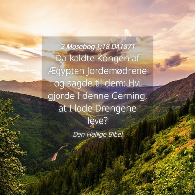 Picture 04 - 2 Mosebog 1:18 DA1871 - Da kaldte Kongen af Ægypten Jordemødrene og - Bible Verse Picture